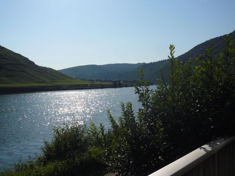 Mosel-Landhaus Am Moselufer B&B Briedern Екстериор снимка